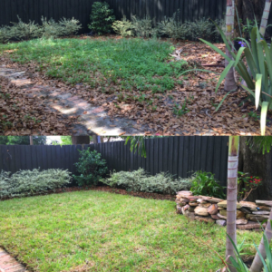 Residential backyard sod installation before after
