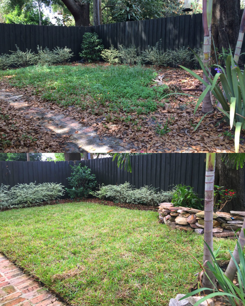 Residential backyard sod installation before after