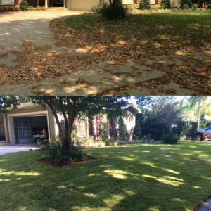 Residential frontyard sod installation before after